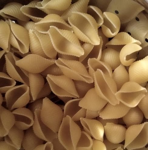 Паста Barilla Conchiglie Rigate — фото из отзыва «Вкусная паста необычной оригинальной формы»