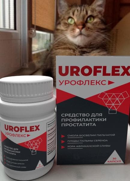 Урофлекс (Uroflex) — фото из отзыва «Урофлекс помог с простатитом»