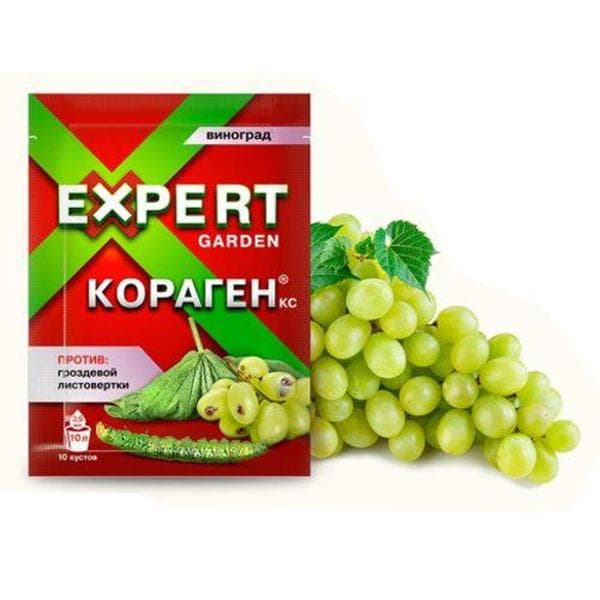Кораген КС от Expert Garden — фото из отзыва «Эффективно и надолго уничтожает листовертку»