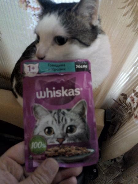 Whiskas — фото из отзыва «Коту нравится»