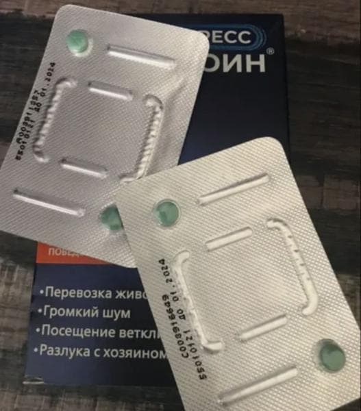 Экспресс Успокоин — фото из отзыва «Эффективное лекарство для домашнего питомца» (1 из 2)