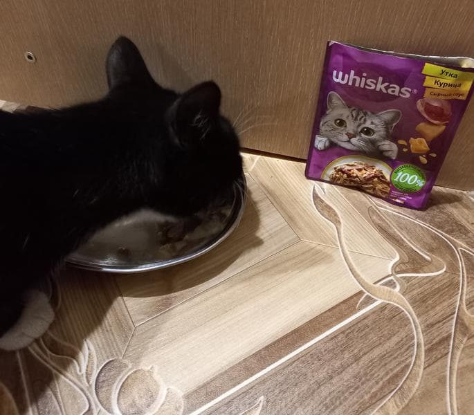 Whiskas — фото из отзыва «Хороший корм по приятной цене.» (2 из 3)