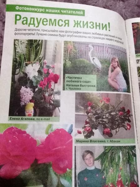 Журнал "Цветы в доме" — фото из отзыва «Журнал для любителей выращивать цветы» (4 из 5)