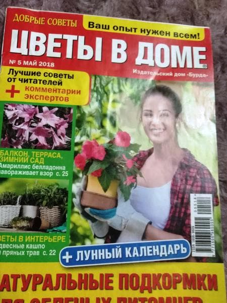 Журнал "Цветы в доме" — фото из отзыва «Журнал для любителей выращивать цветы» (5 из 5)