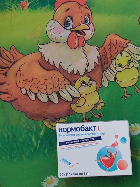 Нормобакт-L — фото из отзыва «Наладил работу ЖКТ» (1 из 2)