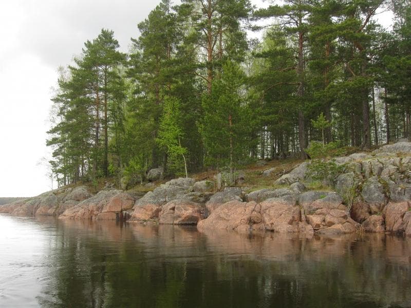 Лосево, Приозерск, Россия — фото из отзыва «Замечательное место. Всем рекомендую.» (1 из 4)