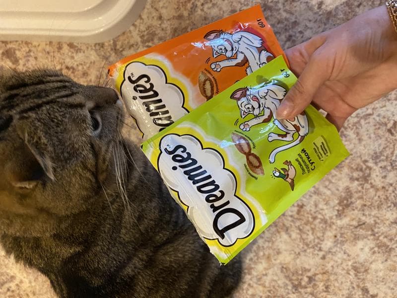 Подушечки для кошек Dreamies — фото из отзыва «Идеальное лакомство»