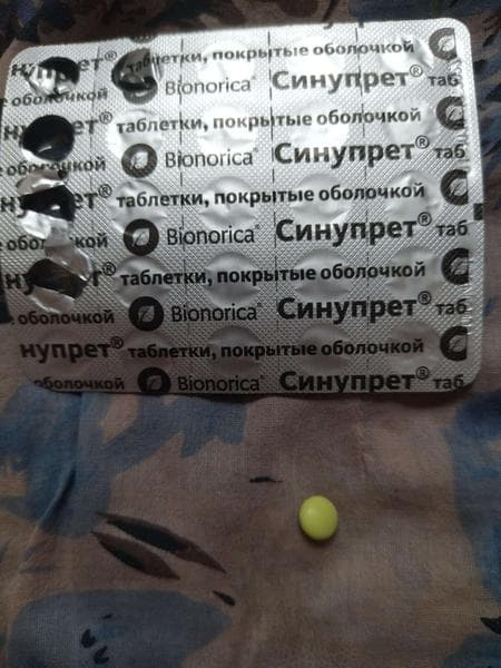 Таблетки Синупрет Bionorica — фото из отзыва «Реальная помощь при насморке» (3 из 3)