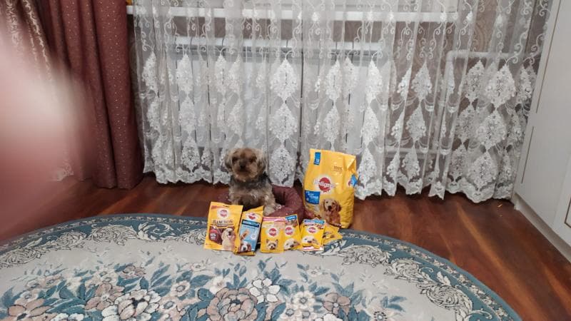 Корм для собак Pedigree — фото из отзыва «Отличный корм за свои деньги, собака сказала "пища богов"!» (2 из 2)