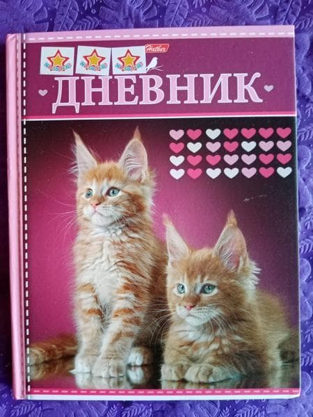Школьный дневник Hatber — фото из отзыва «Хороший дневник.»