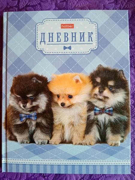 Школьный дневник Hatber — фото из отзыва «Хороший дневник.»