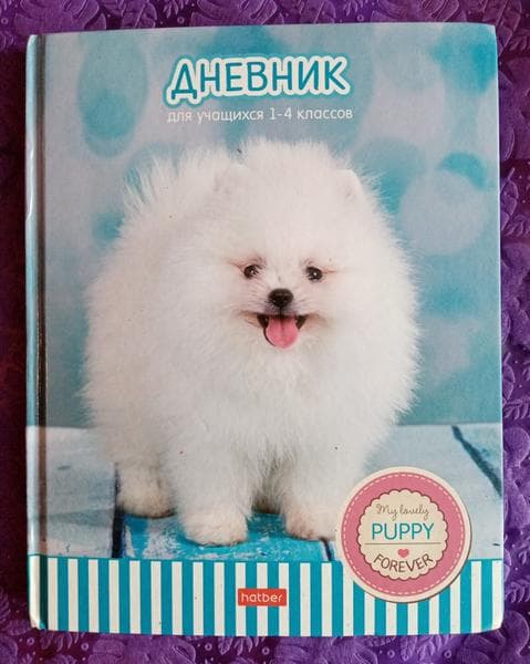 Школьный дневник Hatber — фото из отзыва «Хороший дневник.»