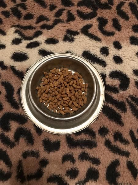 Сухой Корм Purina Pro Plan Light для кошек — фото из отзыва «Профессиональный корм для кошек с проблемами лишнего веса» (1 из 6)