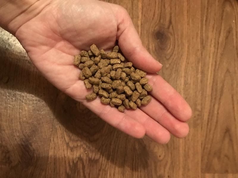 Сухой Корм Purina Pro Plan Light для кошек — фото из отзыва «Профессиональный корм для кошек с проблемами лишнего веса» (2 из 6)