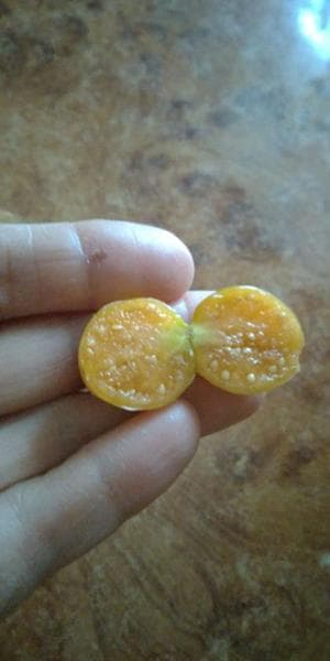Ягоды — фото из отзыва «Удивительно вкусная и полезная ягода»