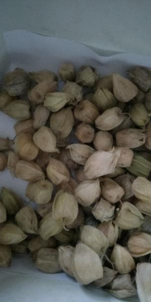Ягоды — фото из отзыва «Удивительно вкусная и полезная ягода»