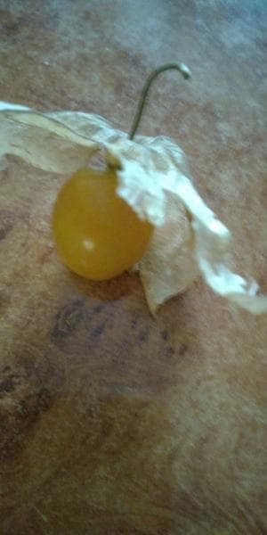 Ягоды — фото из отзыва «Удивительно вкусная и полезная ягода»