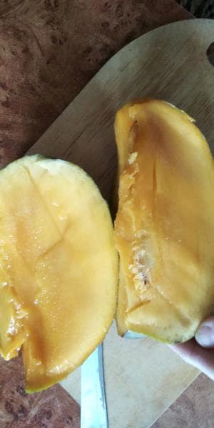 Манго свежее — фото из отзыва «Вкус и польза» (3 из 5)