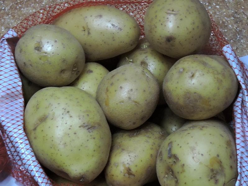 Картофель "Барышня-крестьянка" — фото из отзыва «Вкусный и рассыпчатый.» (1 из 2)