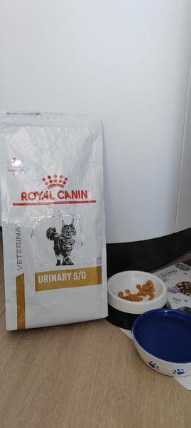 Сухой корм для кошек Royal Canin Urinary — фото из отзыва «Хороший корм для котиков с предрасположенностью к мочекаменн»