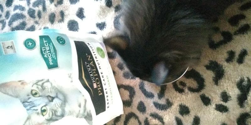 Сухой корм для кошек  ProPlan / Pro Plan Acti Prot — фото из отзыва «Достойная новинка у данного производителя» (1 из 6)