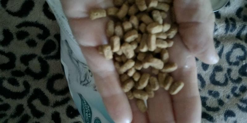 Сухой корм для кошек  ProPlan / Pro Plan Acti Prot — фото из отзыва «Достойная новинка у данного производителя» (3 из 6)