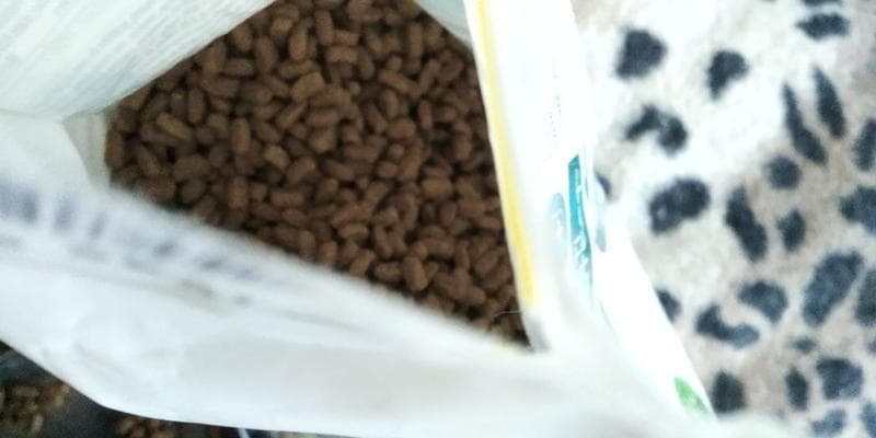 Сухой корм для кошек  ProPlan / Pro Plan Acti Prot — фото из отзыва «Достойная новинка у данного производителя» (4 из 6)
