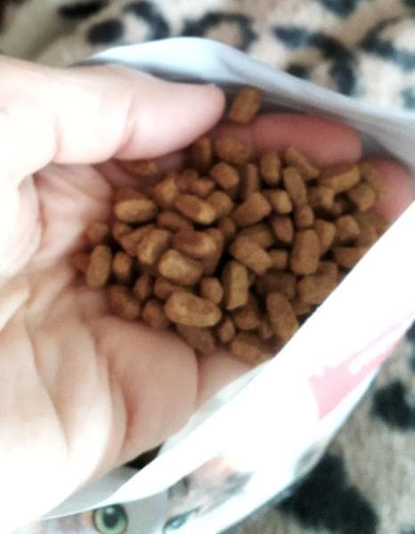 Корм ProPlan Live Clear Sterilised для ко — фото из отзыва «Вкусный корм для уменьшения аллергенов в кошачьей шерсти» (4 из 6)