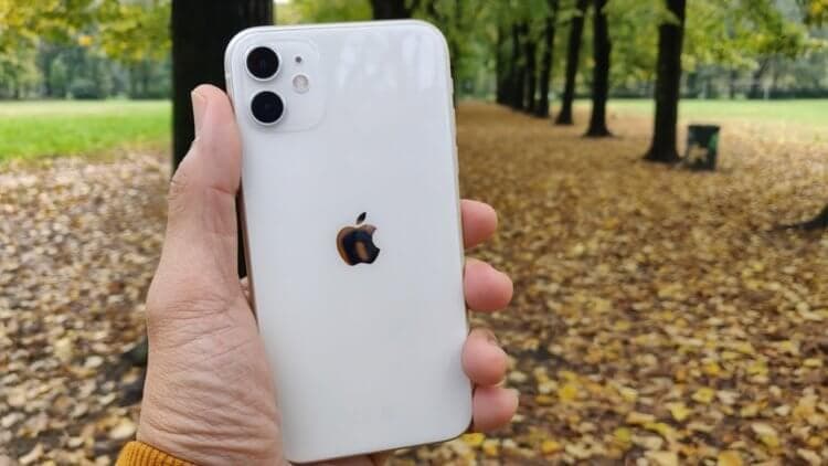 Телефон Apple Iphone 11 — фото из отзыва «Купил и не пожалел» (2 из 2)