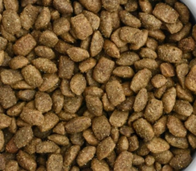Florida сухой корм для кошек Hypoallergenic — фото из отзыва «Отличный гипоаллергенный корм!» (2 из 2)