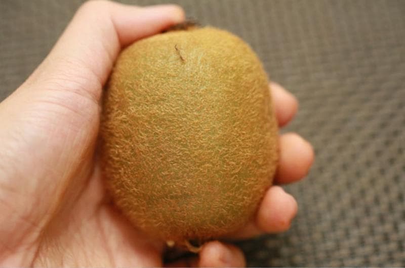 Фрукт "Киви" — фото из отзыва «Киви это очень вкусный фрукт»