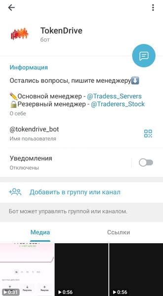 Телеграмм бот @tokendrive_bot (TokenDrive) — фото из отзыва «Мошенники чистой воды» (1 из 2)
