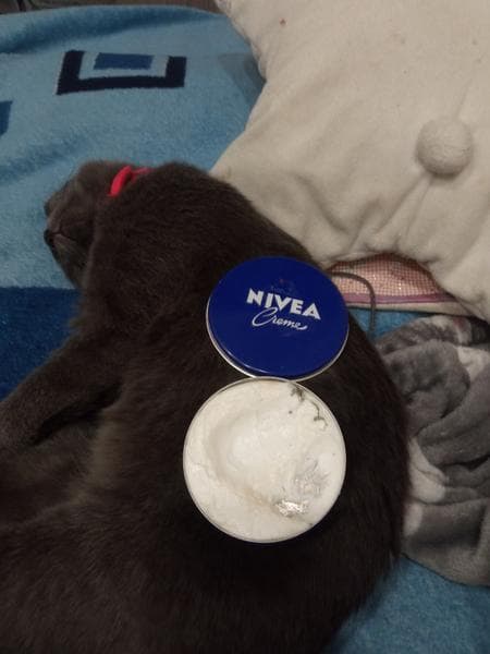 Крем для лица Nivea  — фото из отзыва «Хорошее увлажнение и забота о коже»