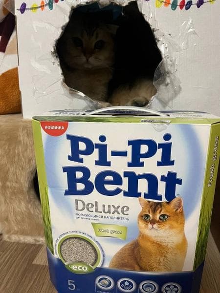 Наполнитель Pi-Pi Bent DeLuxe Fresh grass — фото из отзыва «Лучший вариант глиняного наполнителя!»