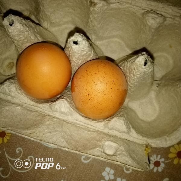 Яйцо отборное "Спутник" — фото из отзыва «Вкусные»