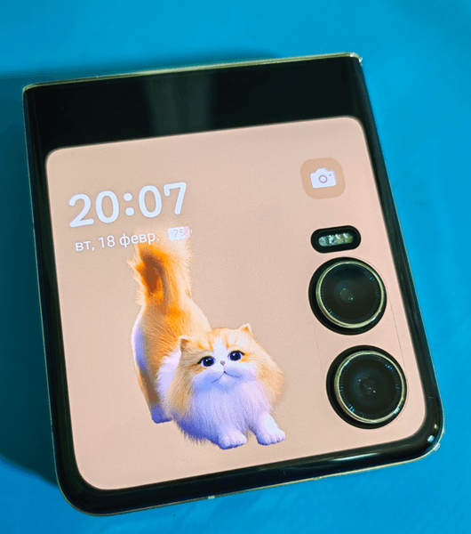 Телефон TECNO PHANTOM V Flip 2 — фото из отзыва «Необычный, но удачный опыт»