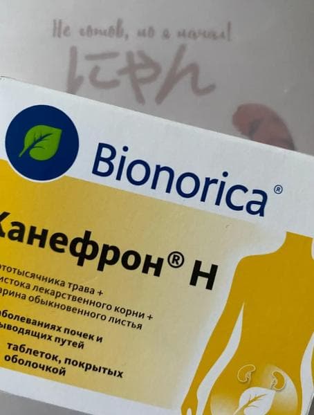Таблетки Канефрон Н Бионорика — фото из отзыва «Таблетки от цистита»