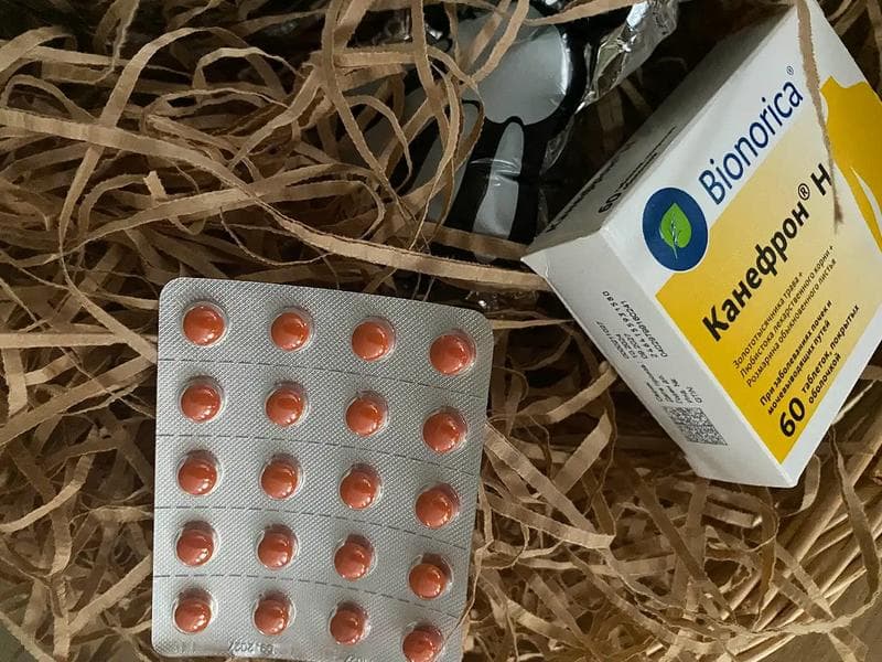 Таблетки Канефрон Н Бионорика — фото из отзыва «Помощь от цистита»