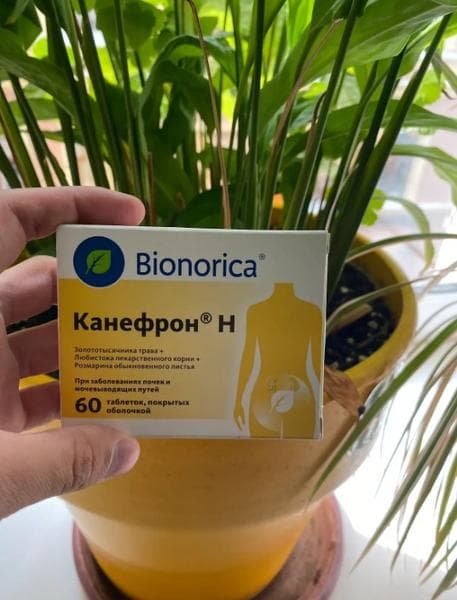 Таблетки Канефрон Н Бионорика — фото из отзыва «Канефрон, как поддержка при лечении и профилактике, действит»