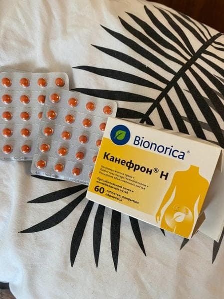 Таблетки Канефрон Н Бионорика — фото из отзыва «Можно и при беременности, но главное под наблюдением врача»