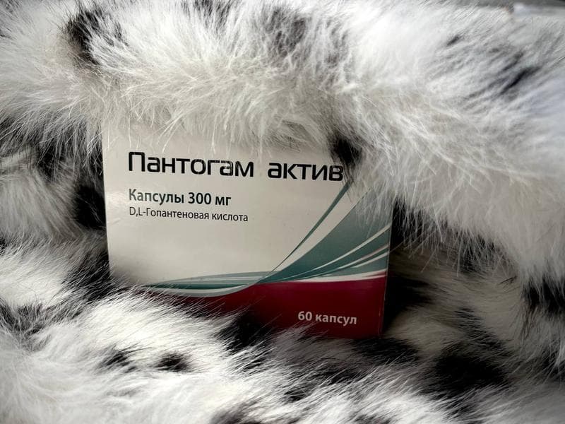 Пантогам Актив — фото из отзыва «Средство, с которым я могу нормально и работать, и спать»
