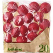 BOLSIUS свеча плавающая