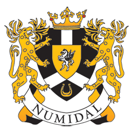 Компания "Numidal" Прокат яхт и катеров в СПб
