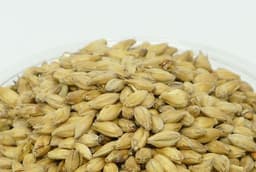 Солод Maris Otter 2,5-3,5 EBC (Muntons)