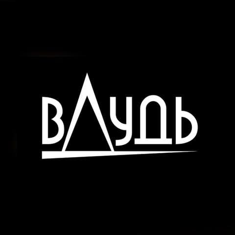 Вдудь