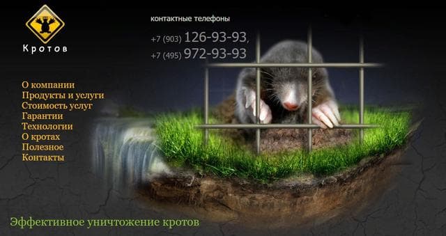 КРОТОВ