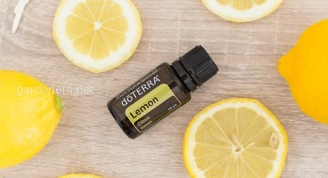 Эфирное масло Лимон doTERRA