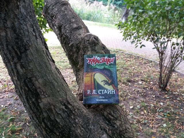 Книга "Лето кошмаров" Роберт Стайн