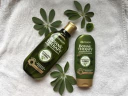 Шампунь и бальзам-ополаскиватель Garnier Botanic Therapy Интенсивно питающий "Легендарная олива"