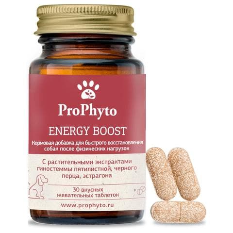 ProPhyto Энерджи Буст